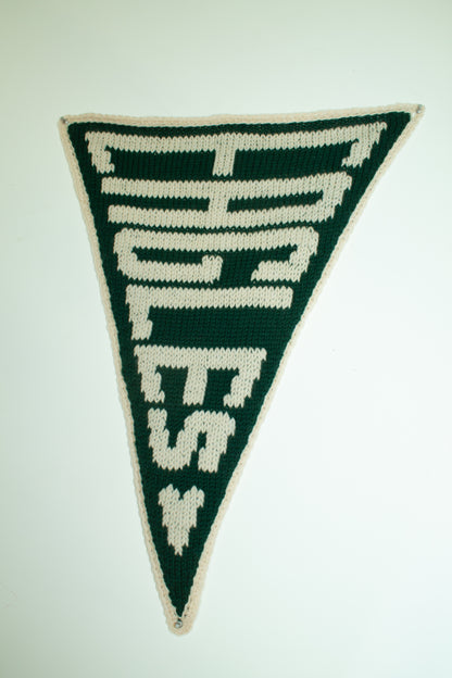 Green and white triangular banner with 'EAGLES' text on a light gray background
