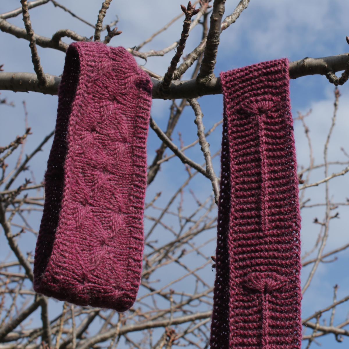 Two purple knitted garments, a headband and a scarf, both with fleabane flower motifs and hanging on a tree branch with a blue sky background.